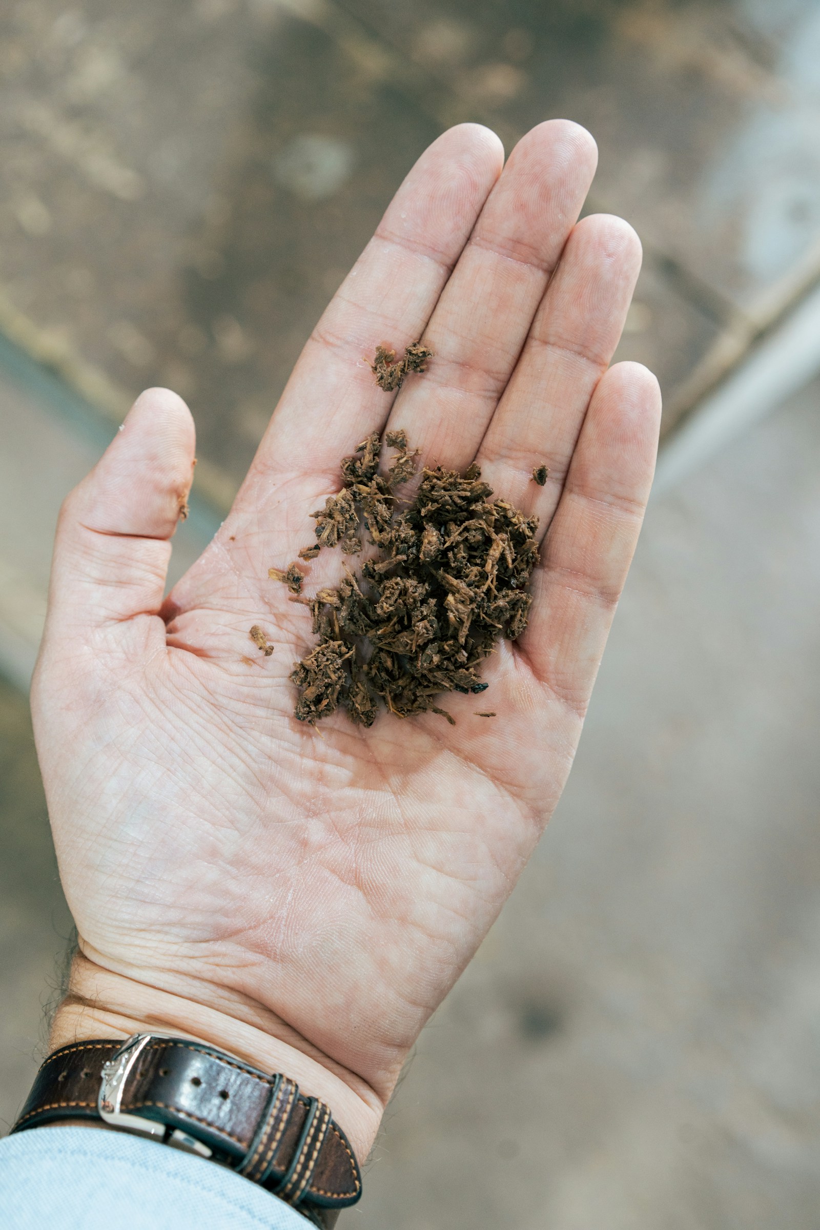 Hands holding dark living soil — the foundation of every regenerative system.