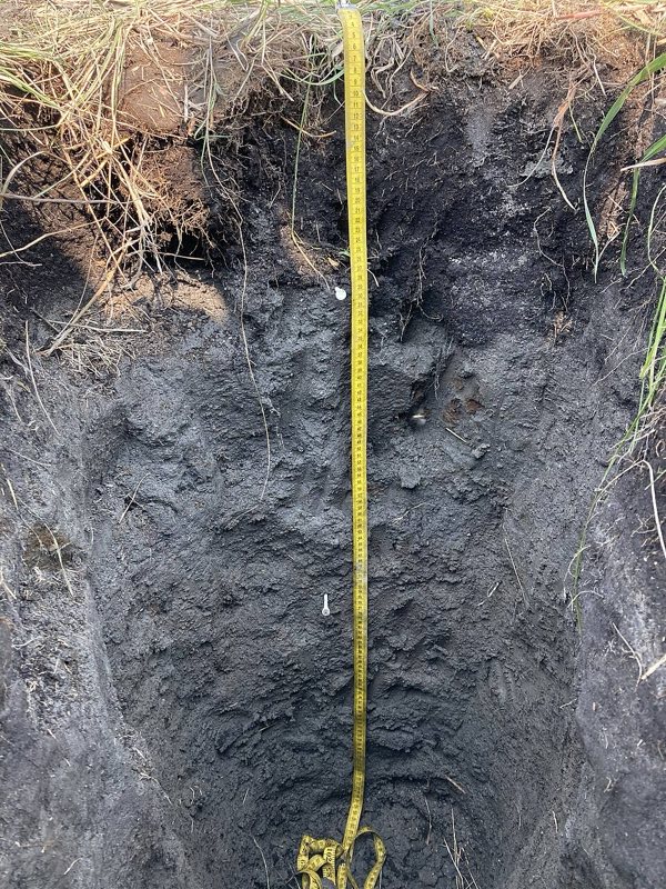 Test pit showing deep black organic-rich topsoil with a measuring tape