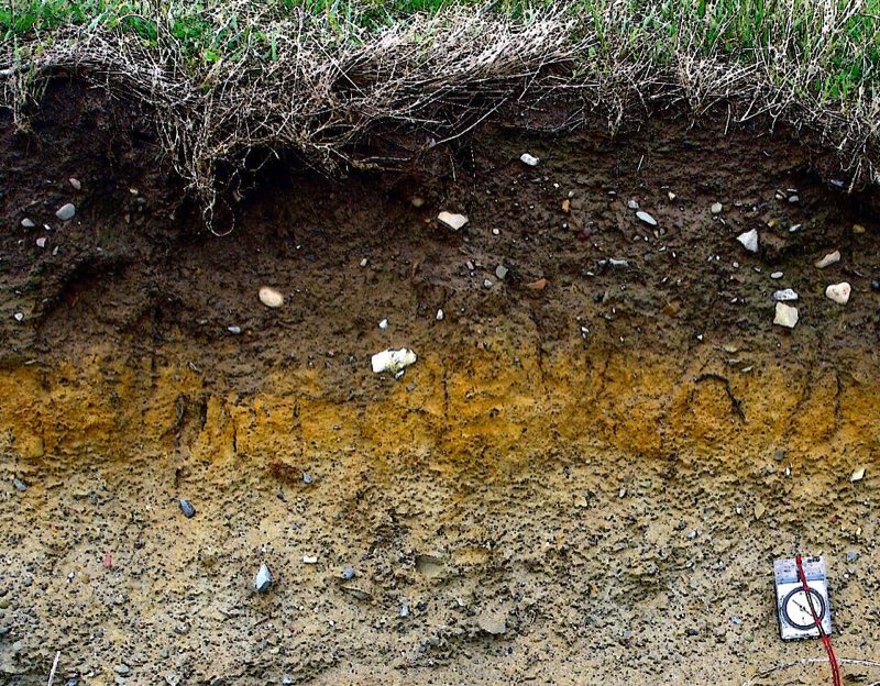 Roadside soil profile showing dark topsoil over an orange band over pale subsoil