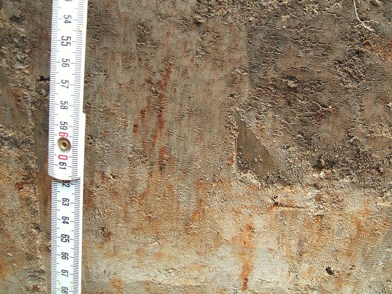 Close-up of gray soil streaked with rust-orange mottles next to a folding ruler